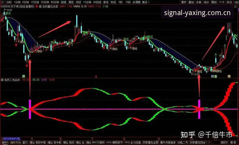 赛事数据追踪实用指南——亚星发出可靠信号新版首页功能拆解